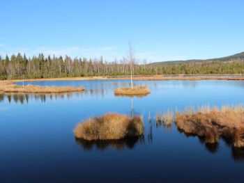 Šumava, Český les, oblast Lipno