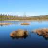 Šumava, Český les, oblast Lipno