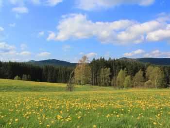 Českomoravská vrchovina, Žďárské vrchy, Železné hory